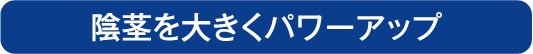 陰茎増大術は注入治療と陰茎増大シリコン挿入の2種類をご用意しております