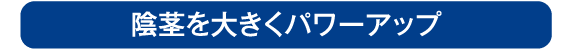 陰茎増大術は注入治療と陰茎増大シリコン挿入の2種類をご用意しております